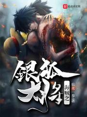 [海贼同人]海贼之银狐大将